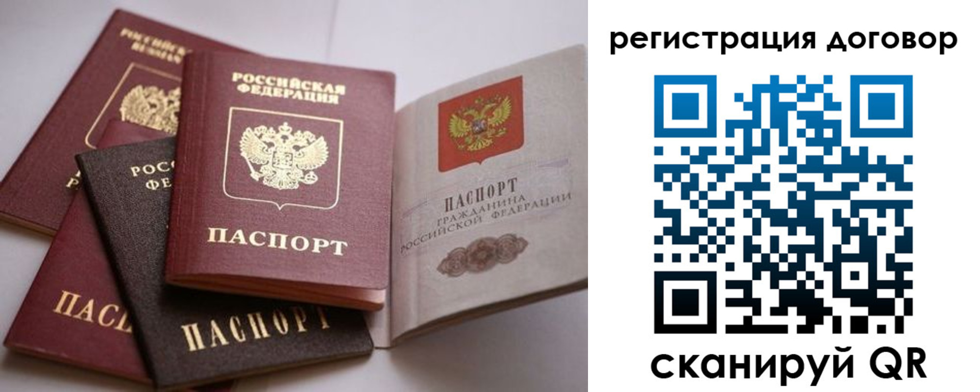 прописка в Владимире